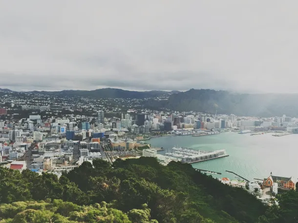 A panoramic view of Wellington city from a hilltop, showcasing the skyline and surrounding landscape under a clear sky.